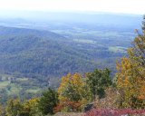 Climate change could dull fall colors. 